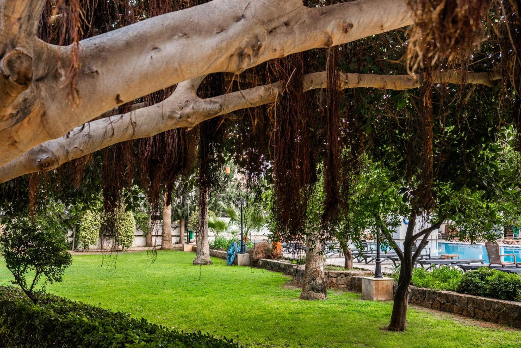 קיירניה Hotel Pia Bella מראה חיצוני תמונה